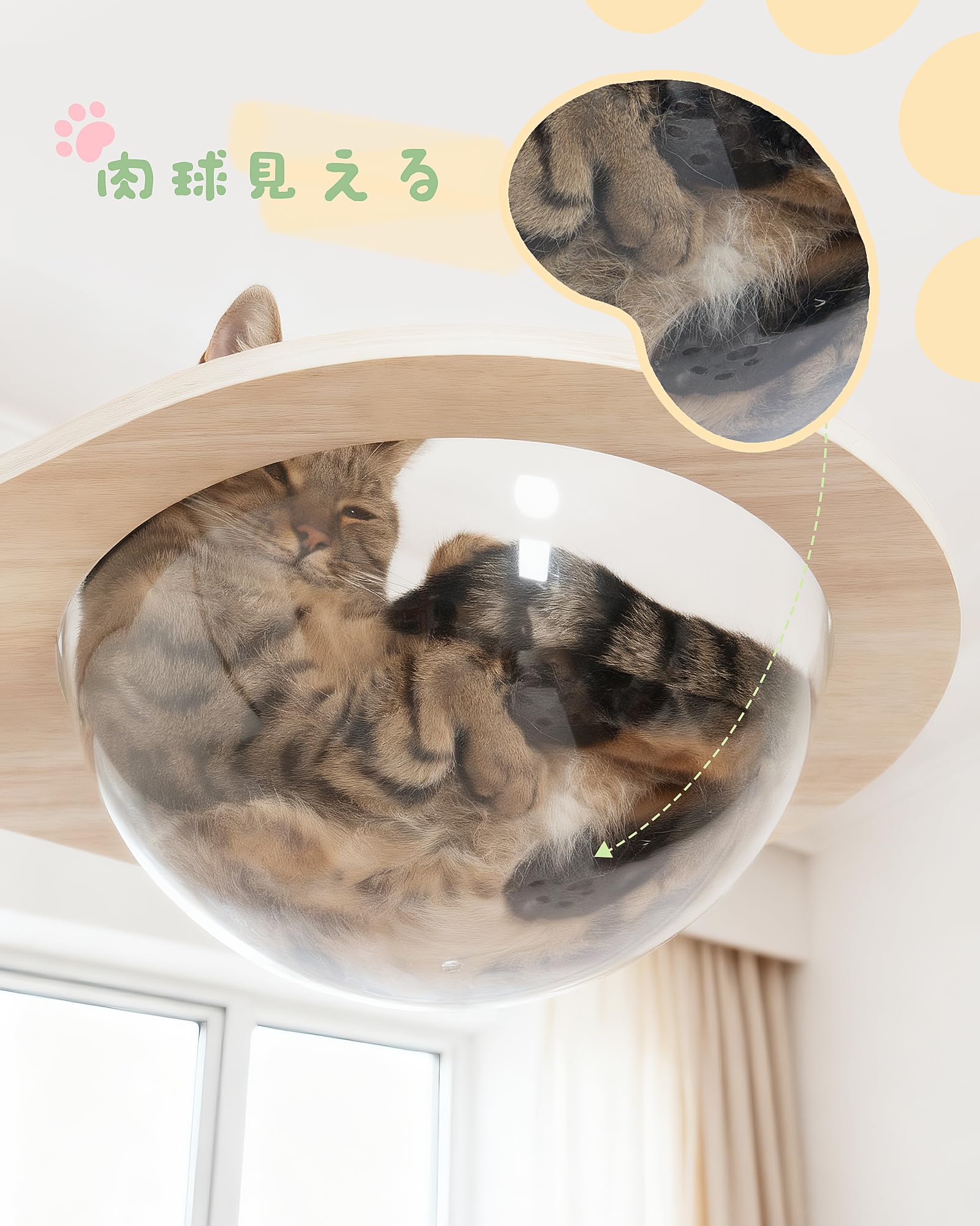 Amazon | OROPY キャットタワー 突っ張り 木製 スリム 宇宙船